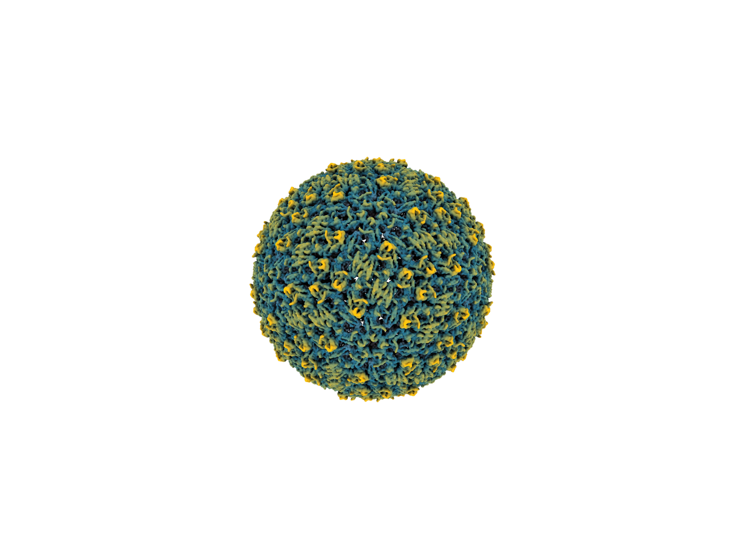 image of virus