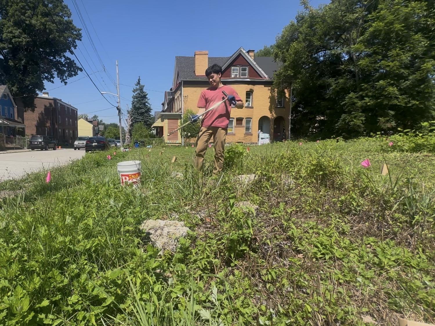 Student working in a garden on a green space lot located on a city block 