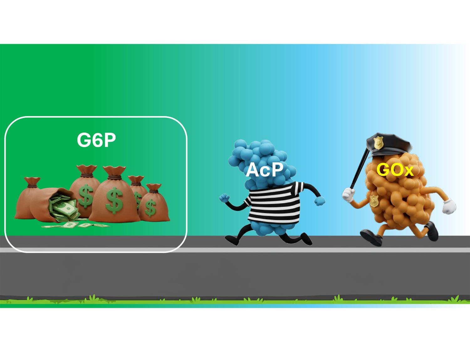 Cartoon of the enzyme acid phosphatase, dressed as robber, running toward glucose-6-phosphate, represented as money, and being following by enzyme glucose oxidase dressed as police.