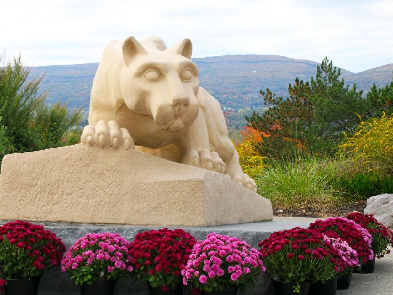 Scranton's nittany lion shrine, surrounded by colorful mums, with a view of mountains in the background