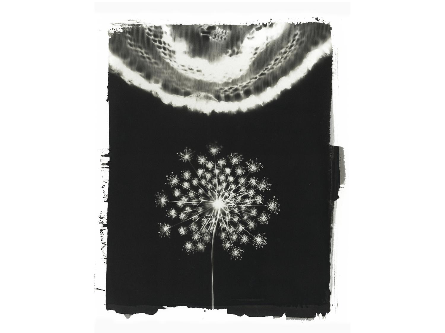 A black and white artwork photo of a flower and lace