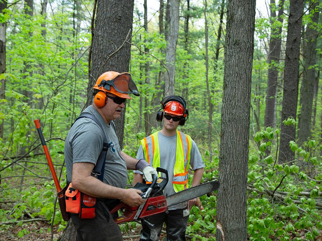 Two people wearing protective gear in the woods. One is holding a chainsaw. 