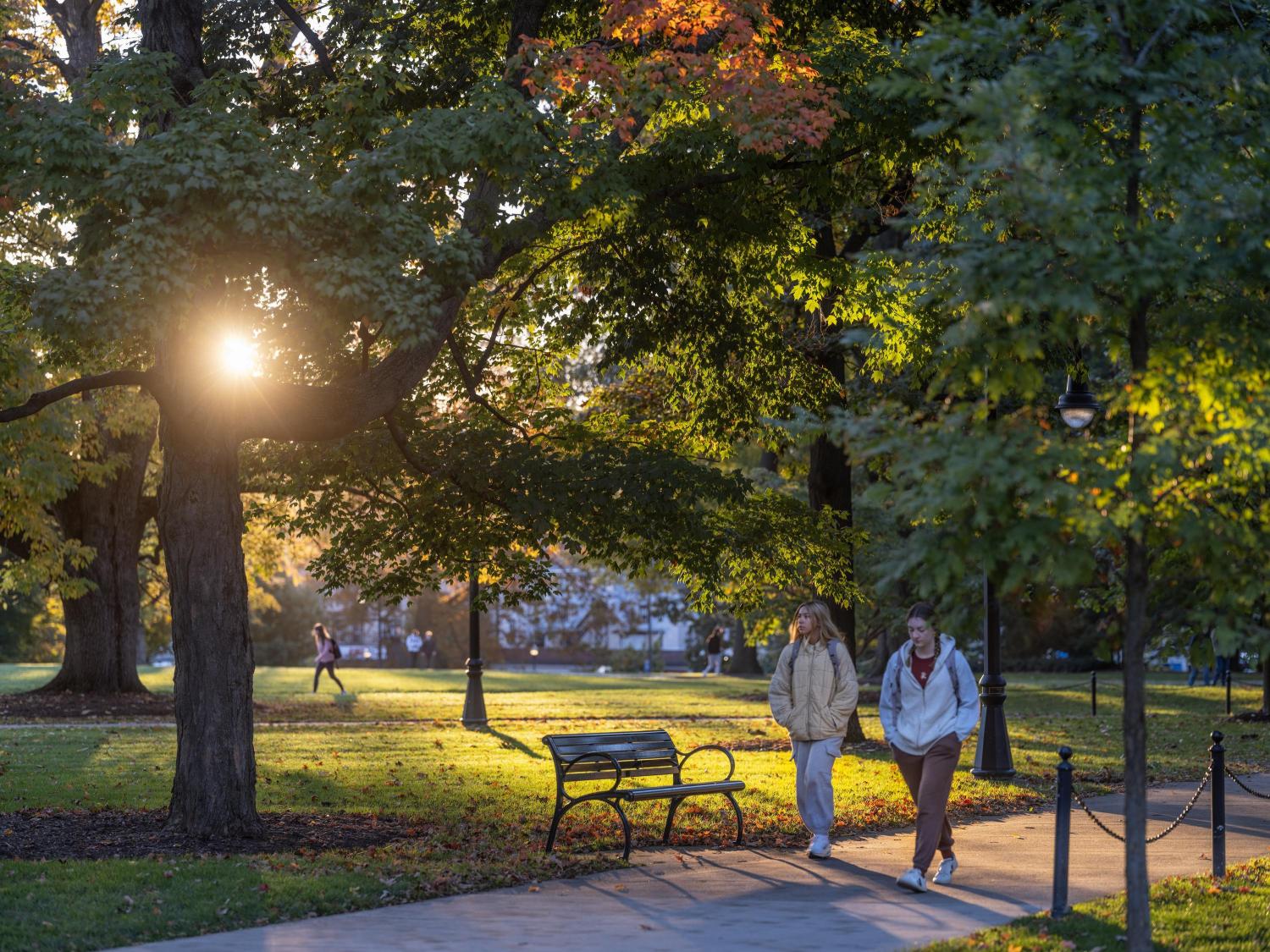 Students on walking path with autumn foliage