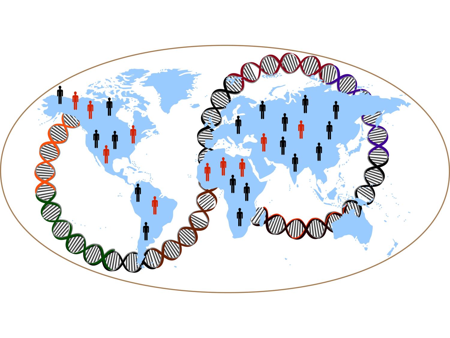 肥満と遺伝子の関係を人種横断的に解析(Genes associated with obesity shared across ancestries, researchers find)