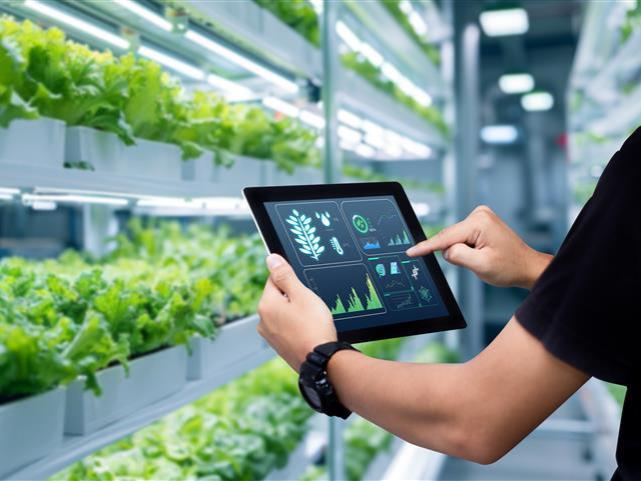 Person holding a tablet in front of hydroponics