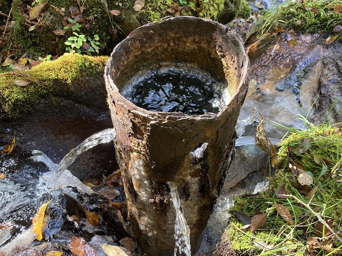 A rusted pipe leaks water in a forest.