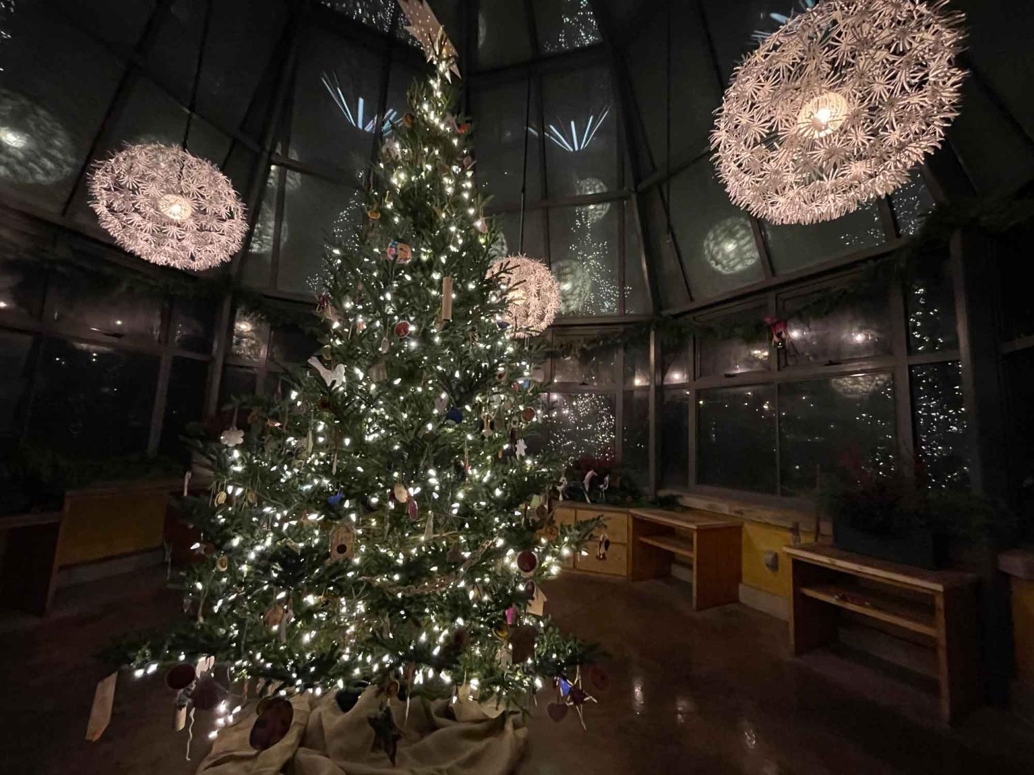 A tree inside a room decorated with lights and holiday decor