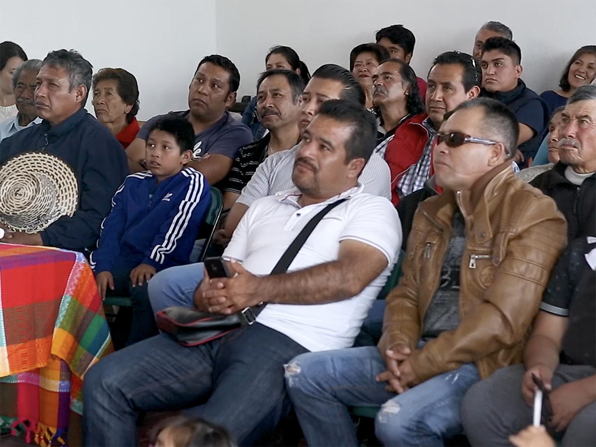 An audience watches a film