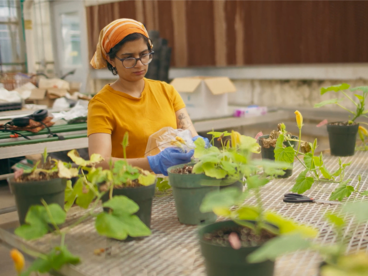 Avehi Singh collecting compounds from flowers