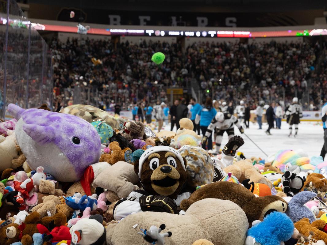Hundreds of stuffed animals cover the ice during a hockey arena’s teddy bear toss, with players and staff on the rink and a packed crowd watching in the stands.