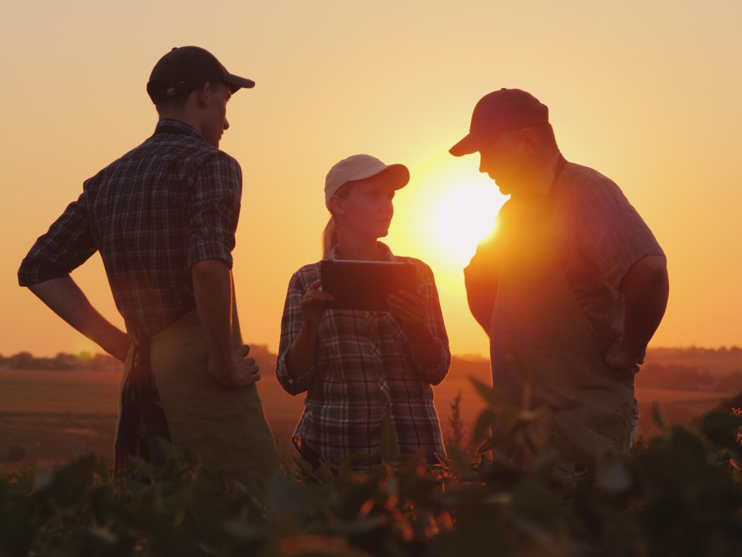 Farmers standing in a field with the sun setting behind them. 