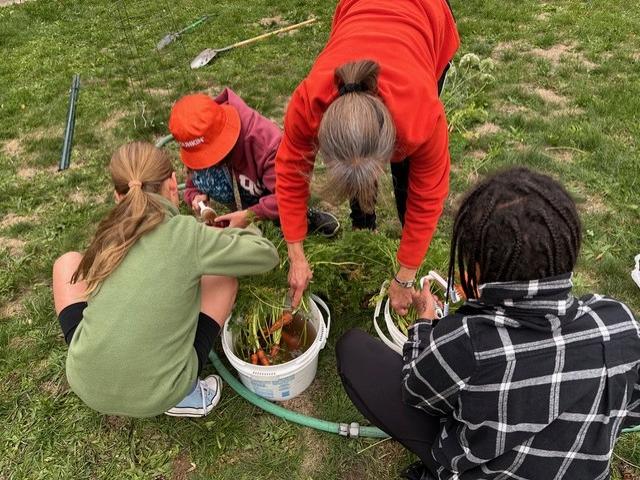 MGStoryMiddleSchoolCourse