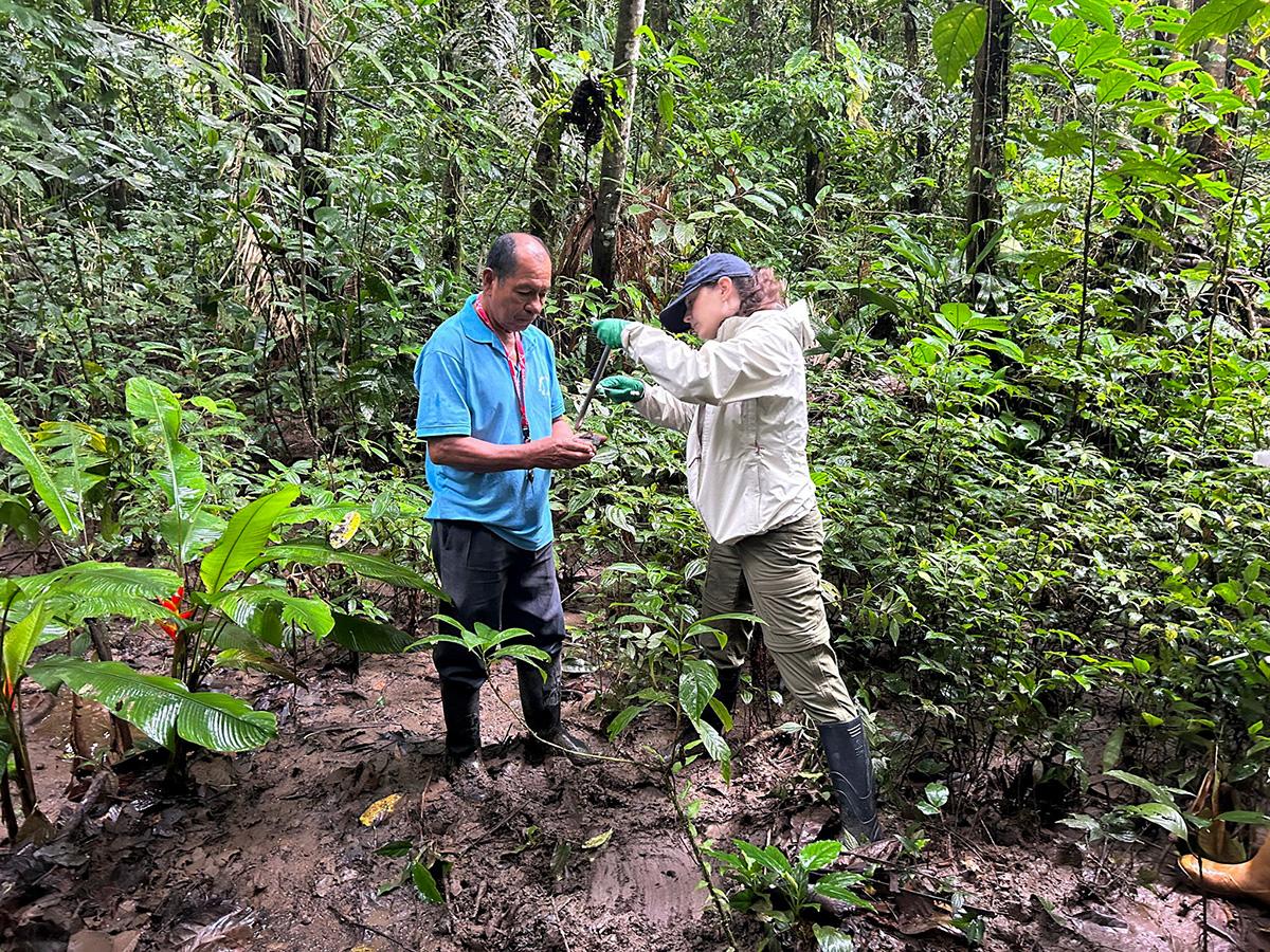 A Kichwa person and Sofia Hoffman in a lush rainforest examine a plant sample. The scene is muddy and dense with greenery.