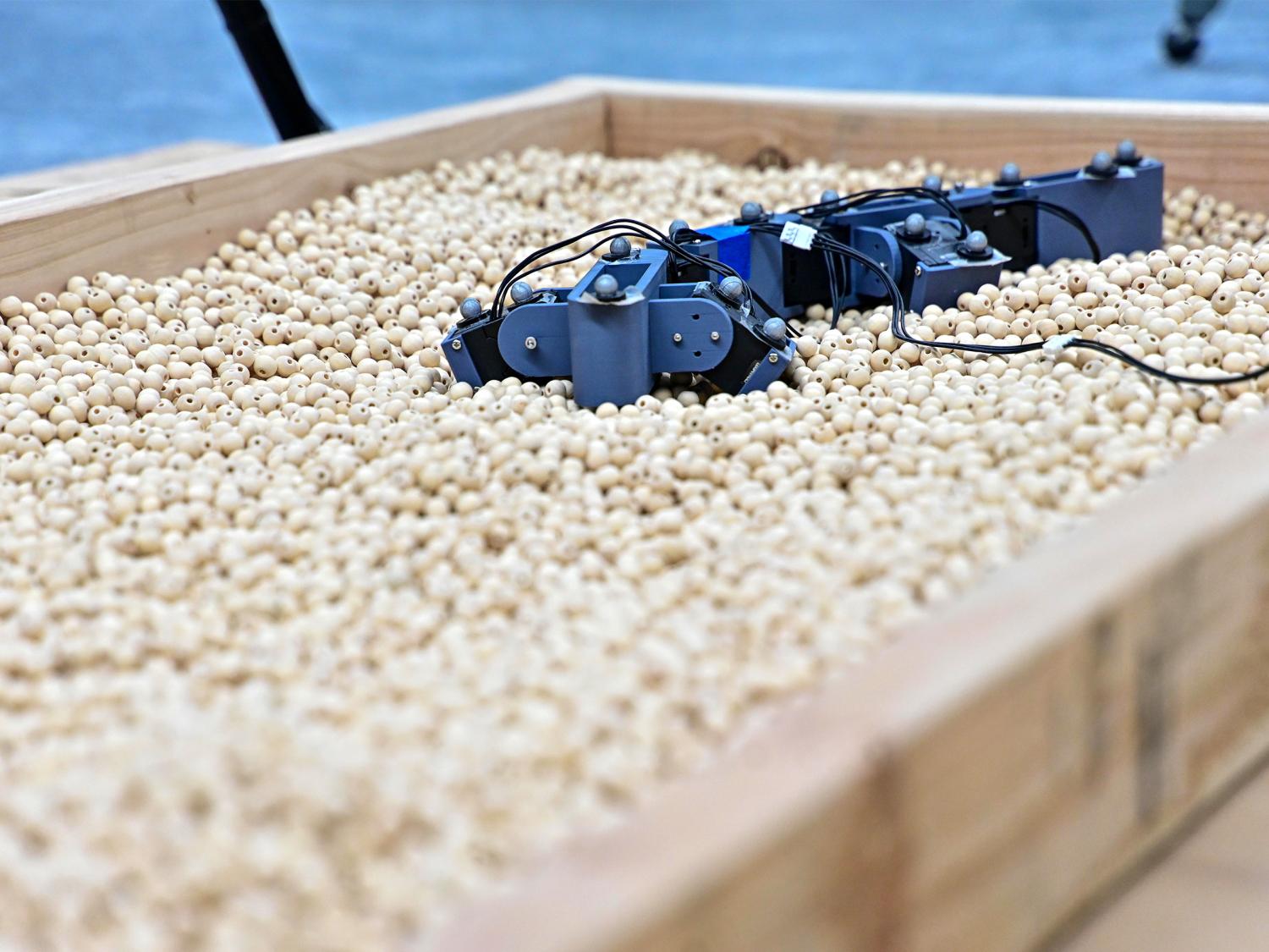 A blue, lizard-like robot moves through a pile of beads contained in a wooden box.  