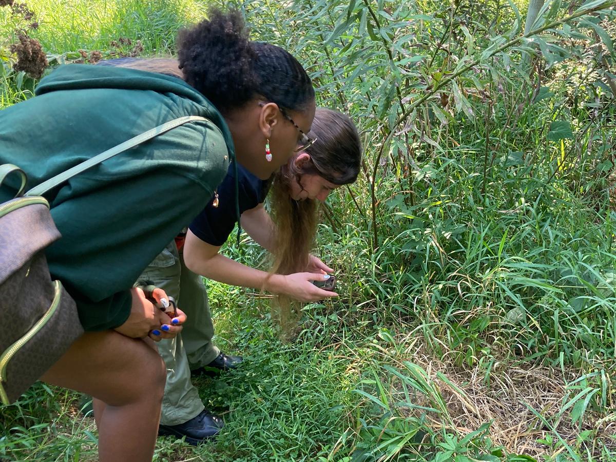 Two students examine foliage while taking a photo using a phone