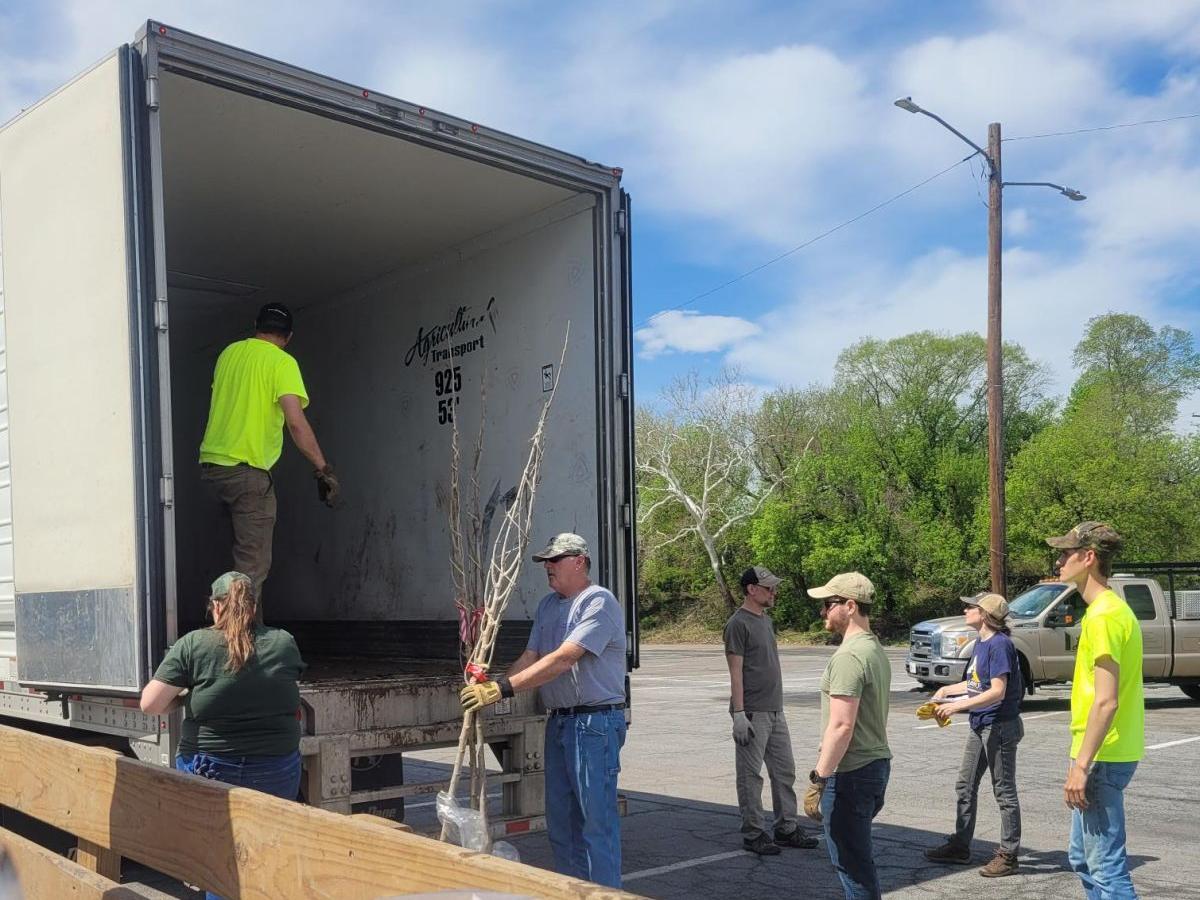 A group of people unload bare root trees from a tractor-trailer