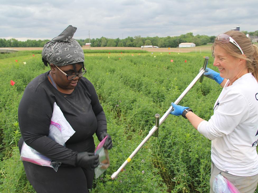 researchers in a field