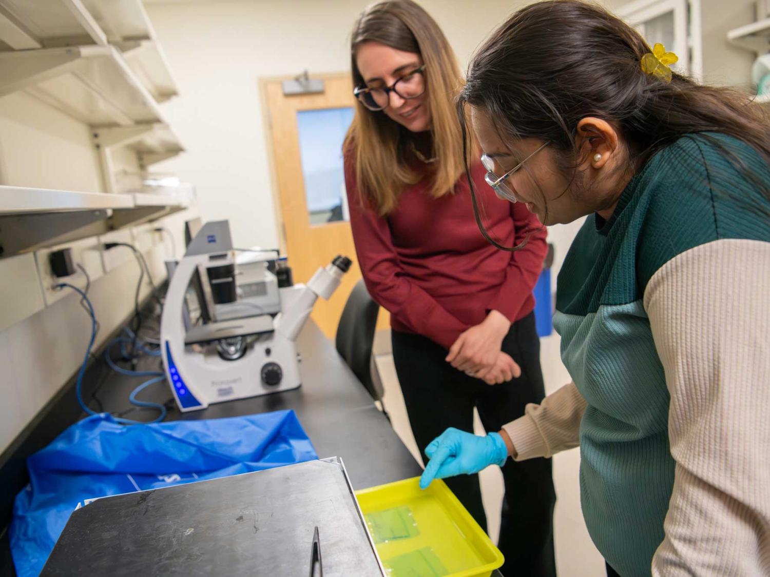 Marina Feric looks on as lab member works at lab bench