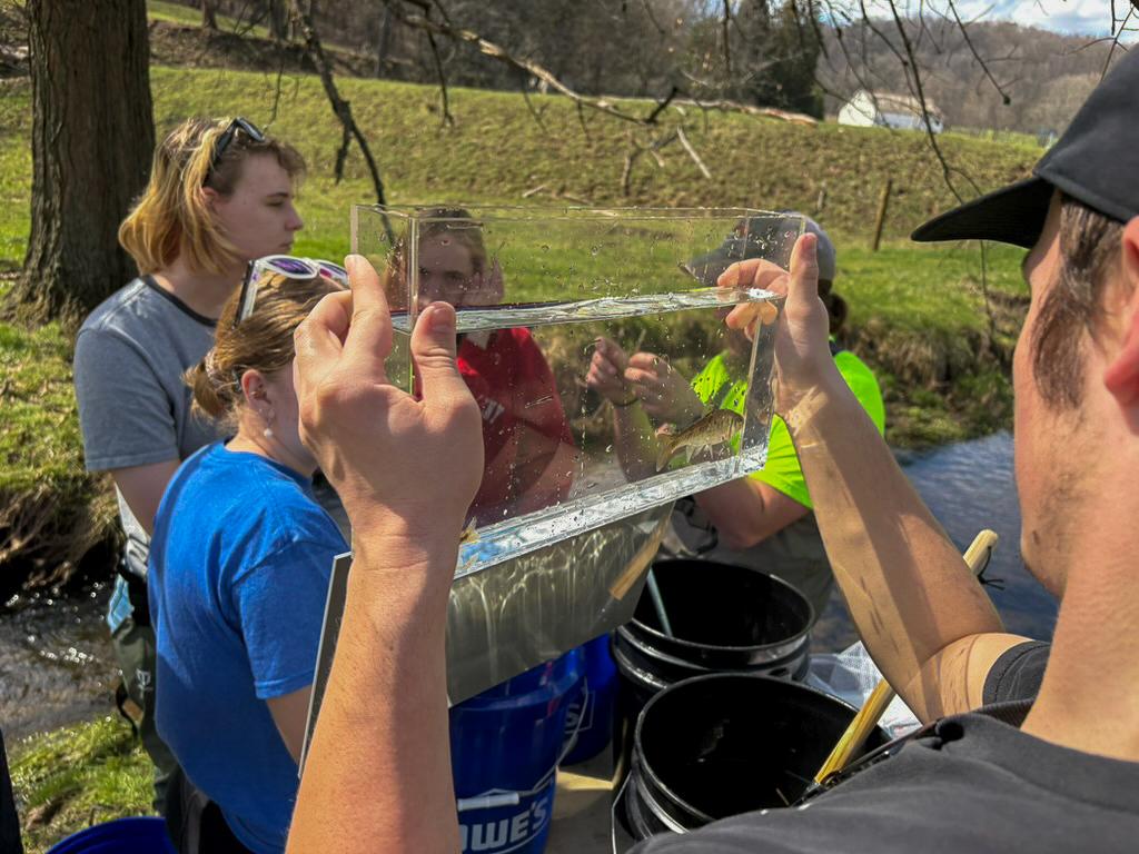A student holds a clear container containing a fish along a stream bank. Classmates are in the background.