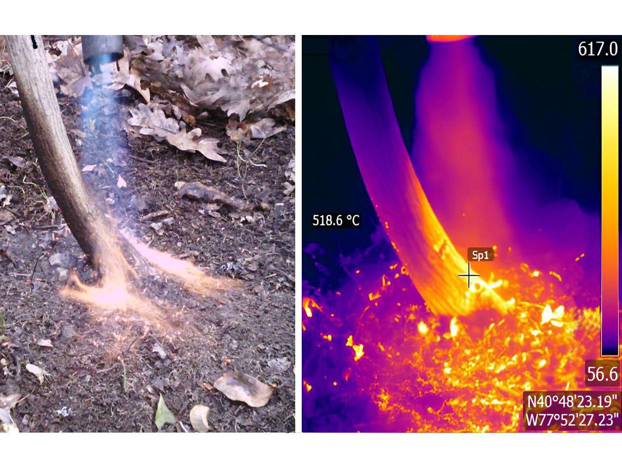 制御燃焼研究で焦げた低木が再生することを確認（Scorched shrubs sprout anew, researchers find in controlled fire study）
