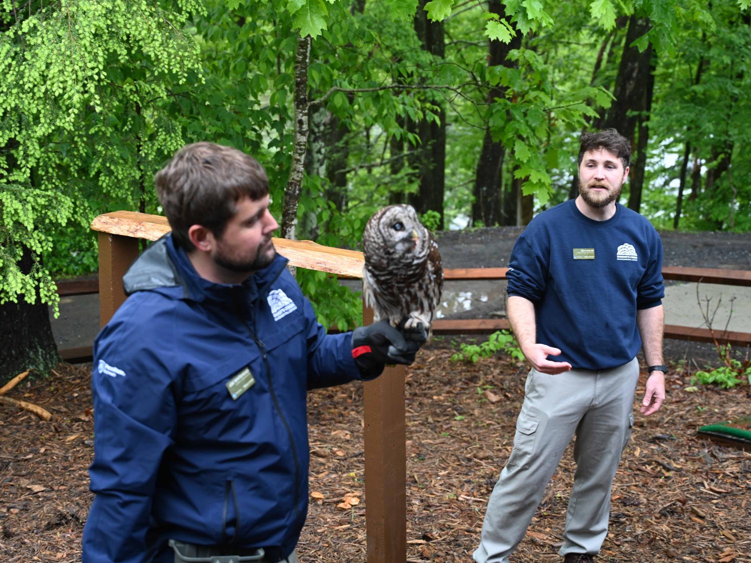 An educator wearing a glove holds a barred owl during an outdoor wildlife presentation as another staff member speaks nearby.