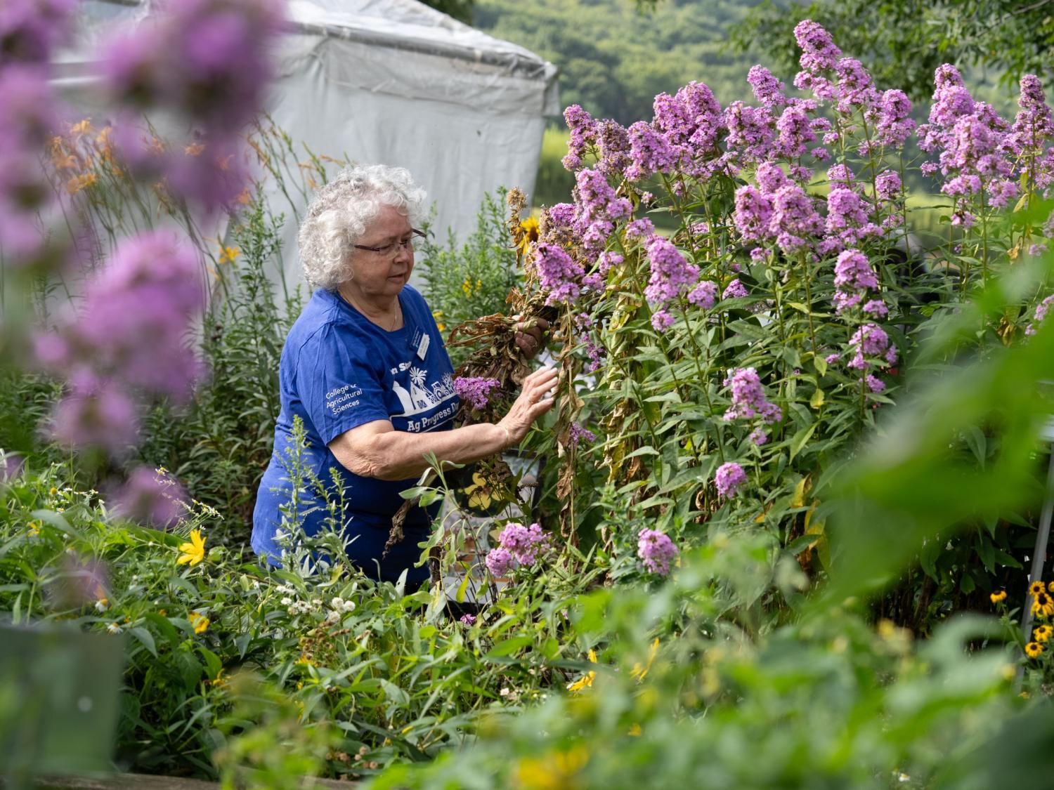 Master Gardener at Ag Progress Days