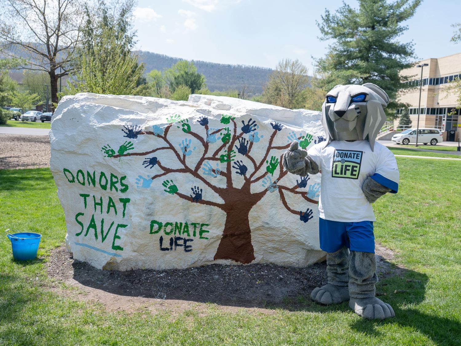 The Wildcat mascot stands by the Rock at Penn College