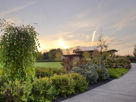 arboretum 