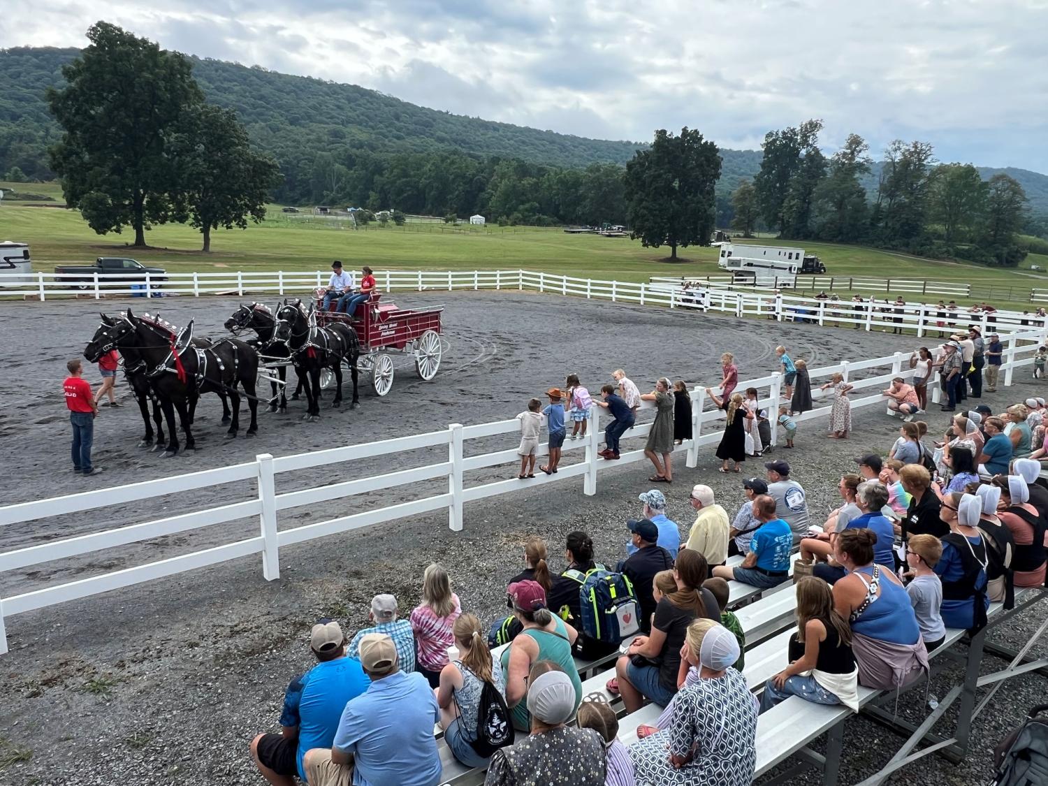 APD Equine Events
