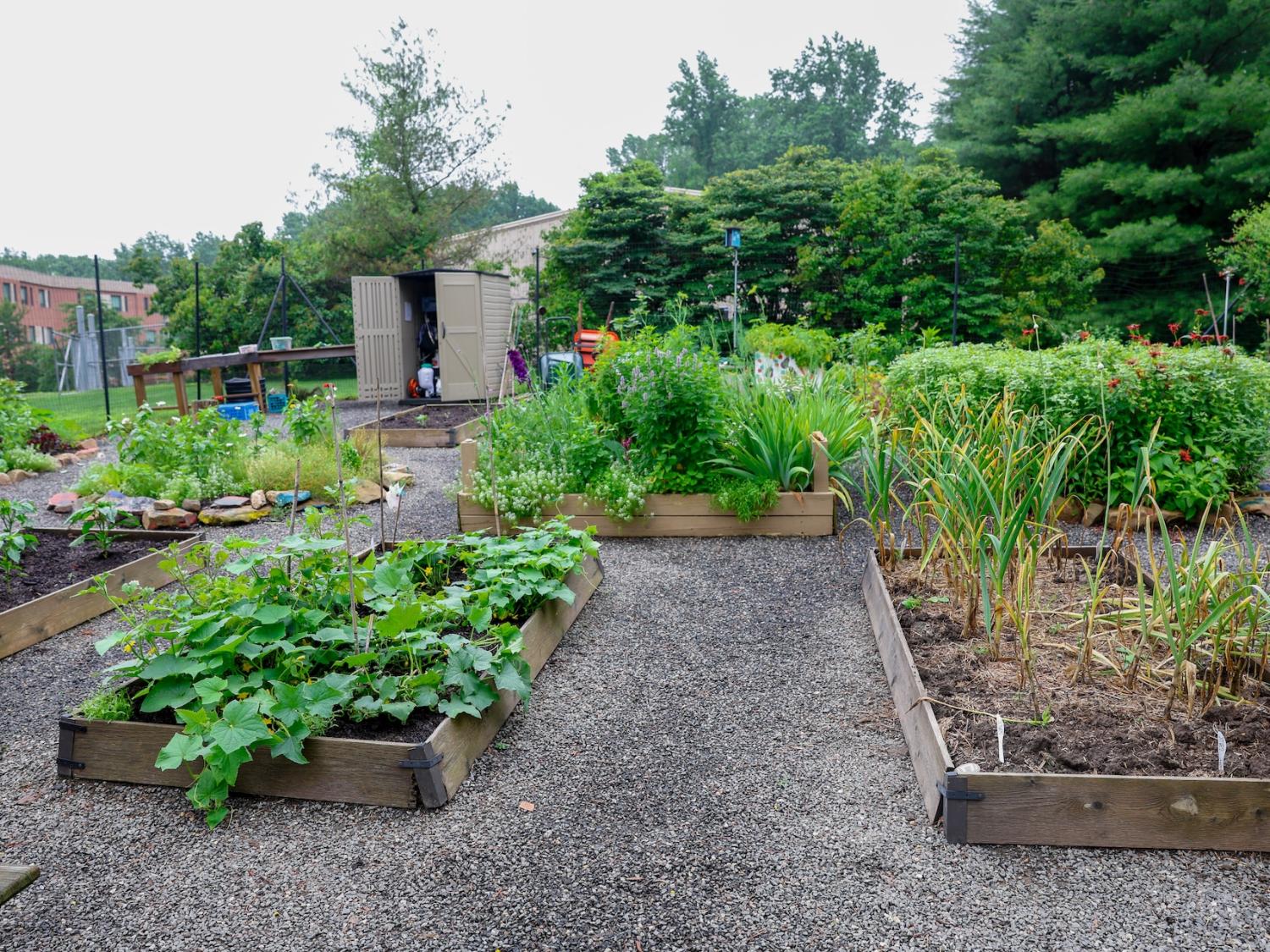 Brandywine campus garden