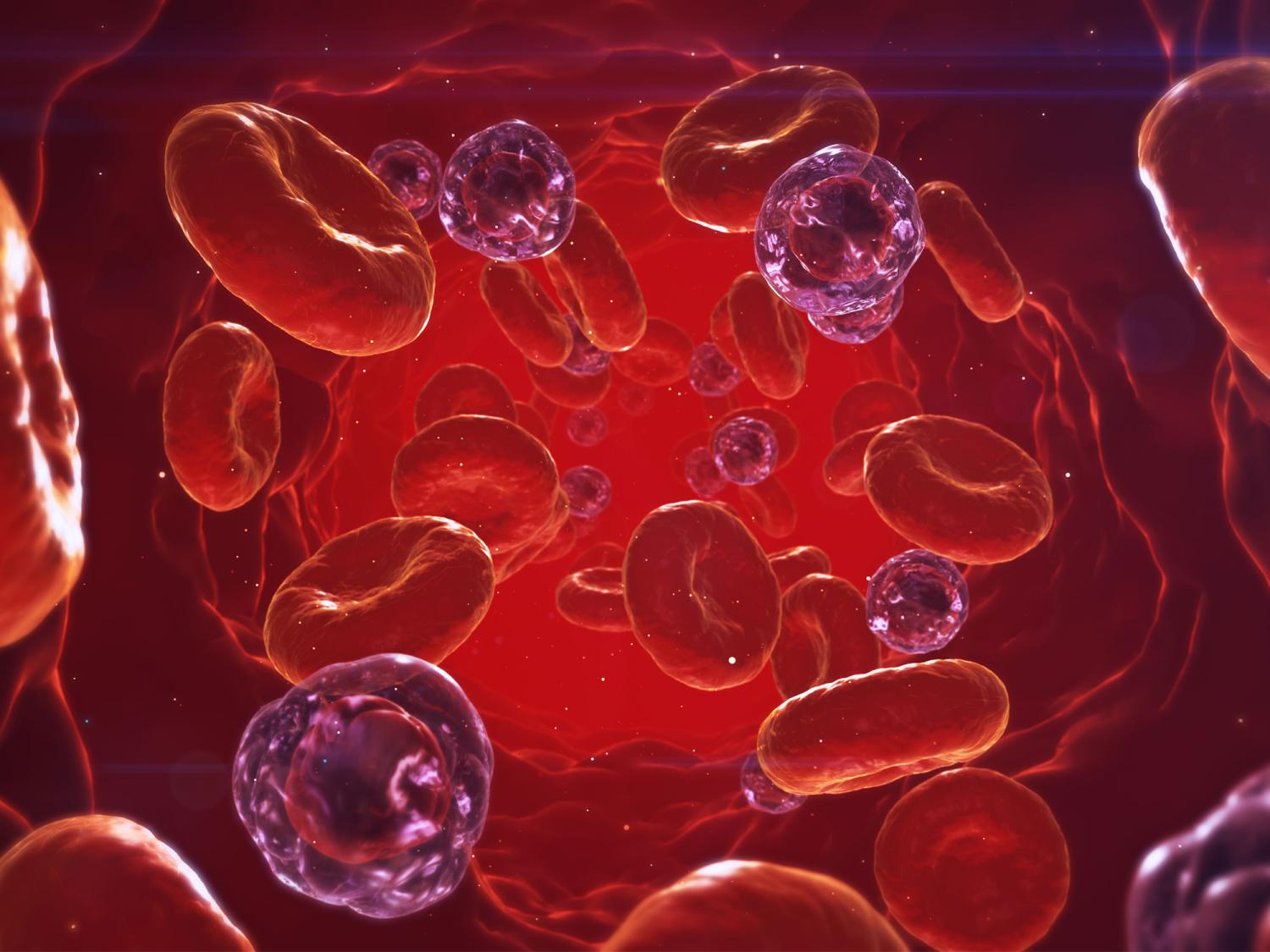 A 3D visualization of blood moving throught the body, with some cells appearing as infected cells among the standard red blood cells.