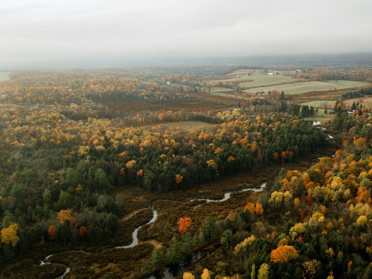 Bird's eye view of the rural PA landscape
