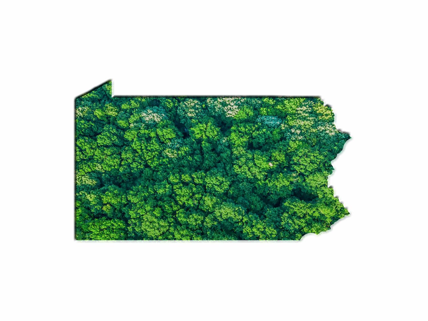 The shape of Pennsylvania completely encloses a forest