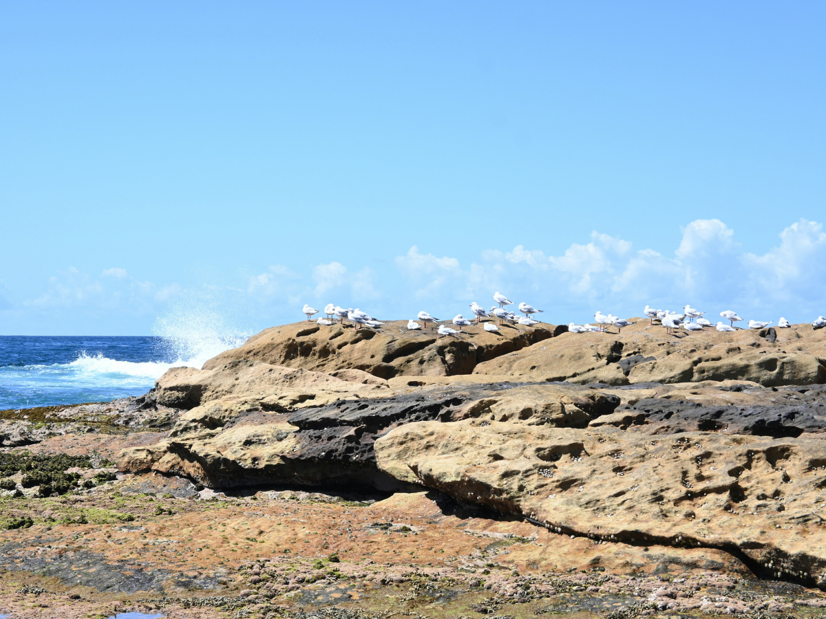 Rocks near an ocean coastline