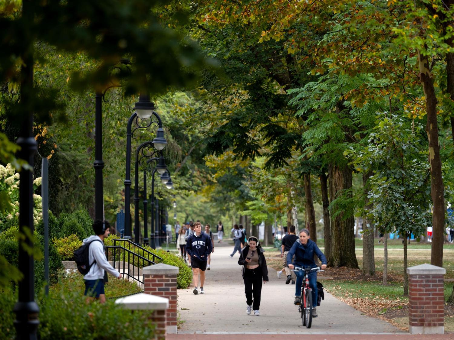Students walking down tree-lined sidewalk
