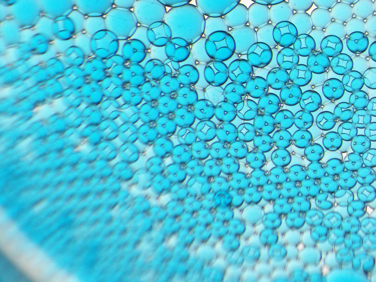 Microscopic imaging showing a numberous individual droplets in a petri dish joining together to form a larger network of interconnected nodes