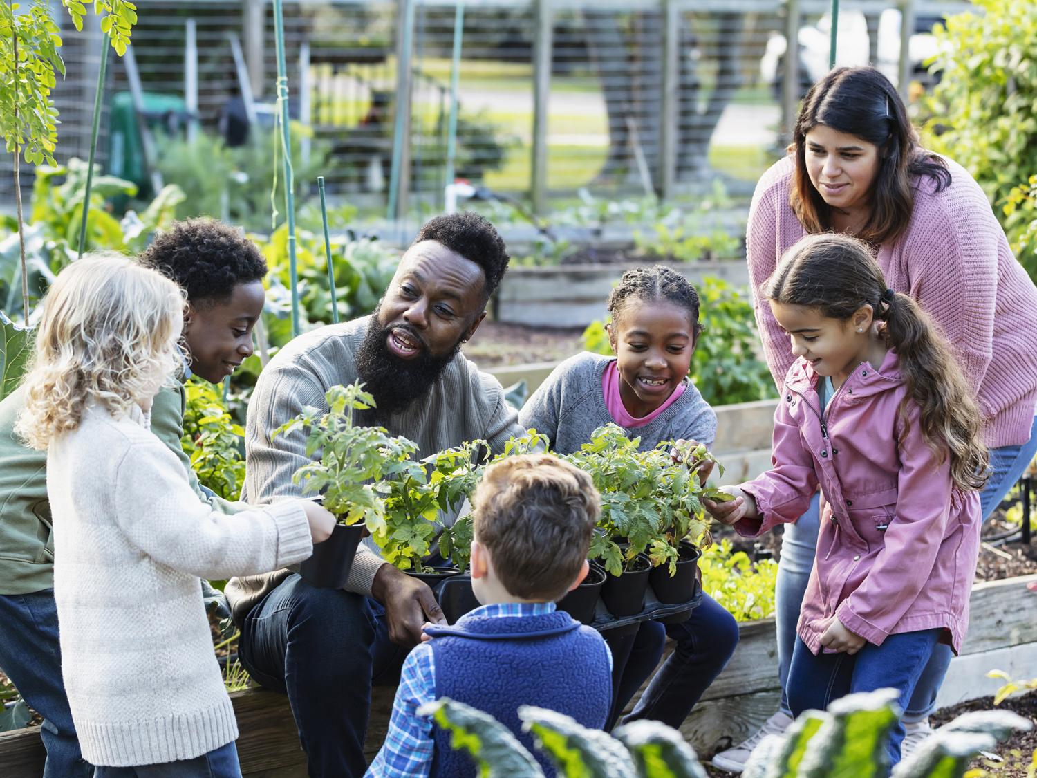 A Black man teaching a group of five multiracial children how to grow vegetable plants in a community garden. He is holding a tray of potted plants, kneeling down so the girls and boys, 4 to 10 years old, can examine them as he talks.
