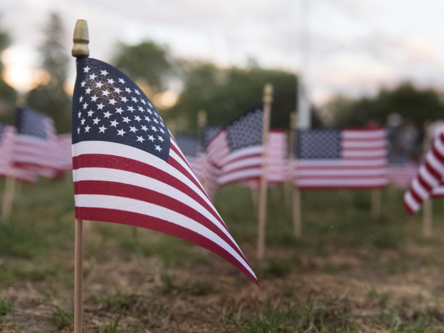 Close up flags on lawn