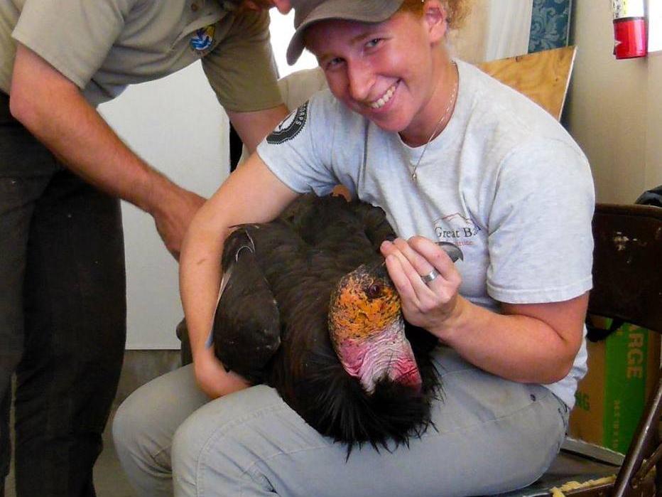 condor girl student story