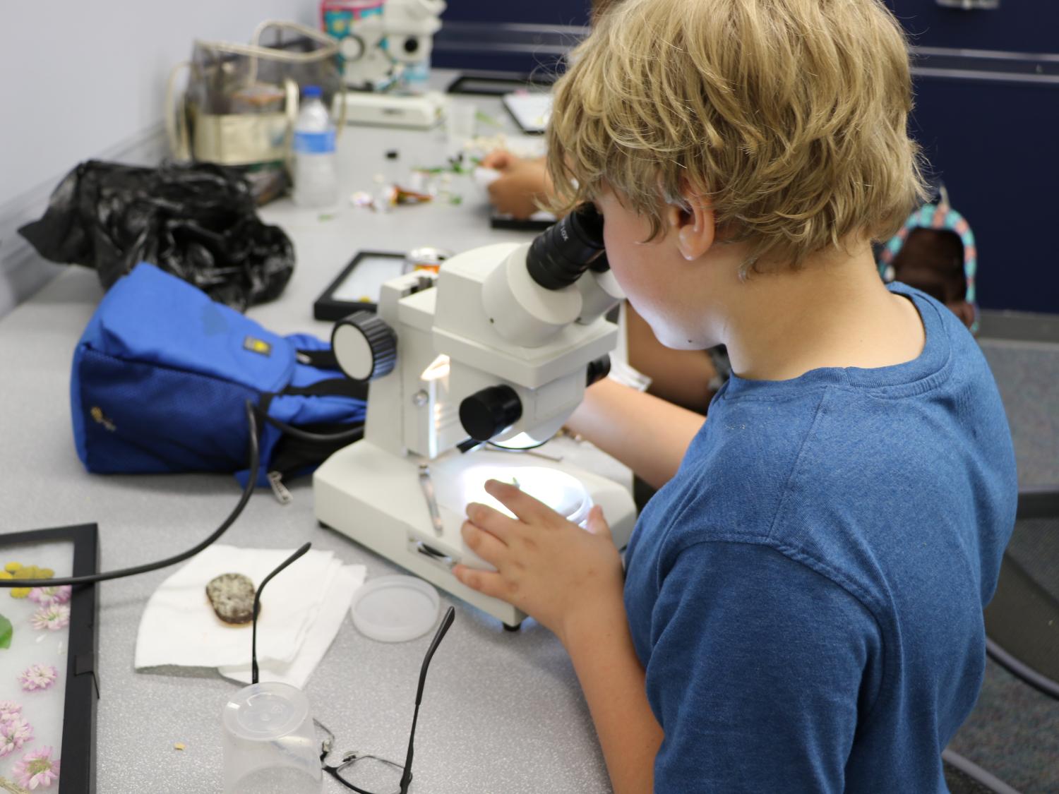A camper in last year's Critter Camp at Penn State Hazleton studies his findings under a microscope.
