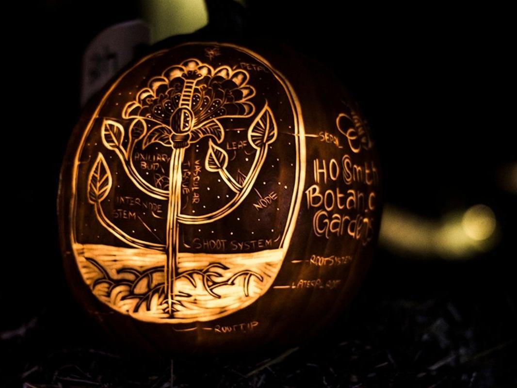 Lighted jack-o'-lantern