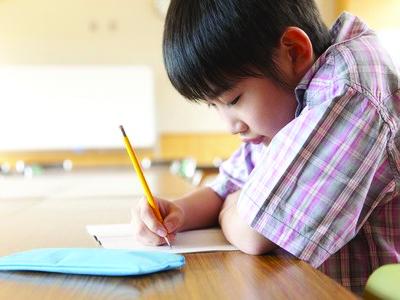 Young boy studying.