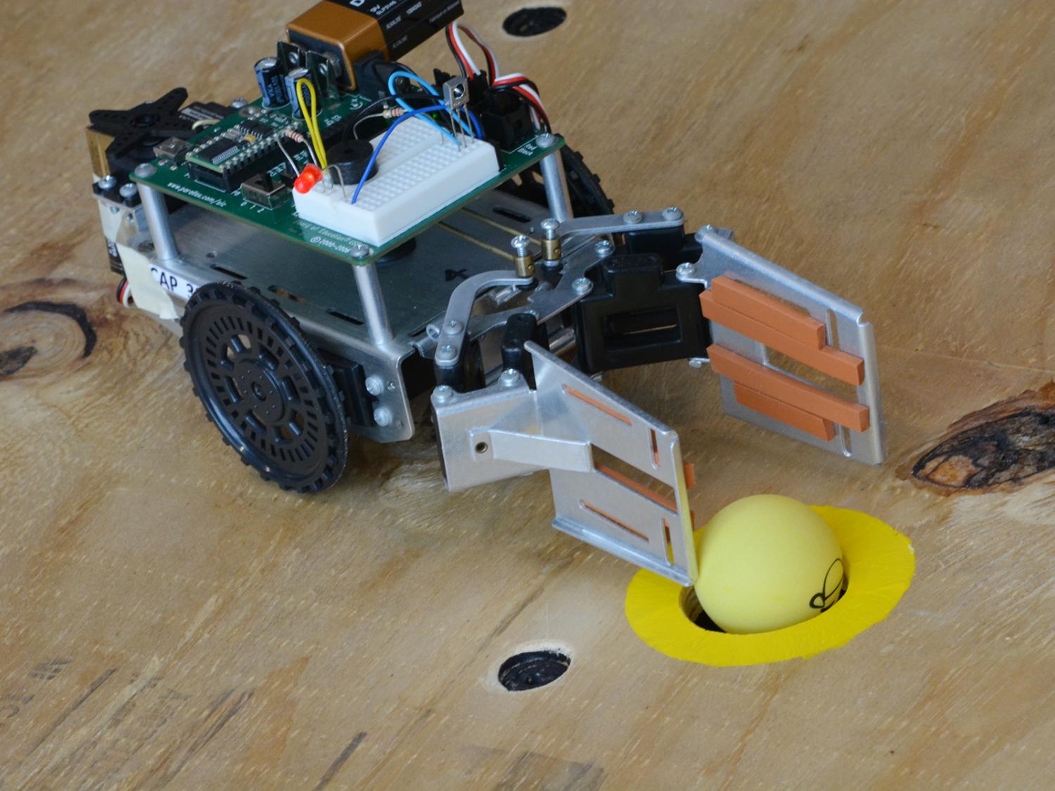 robotic