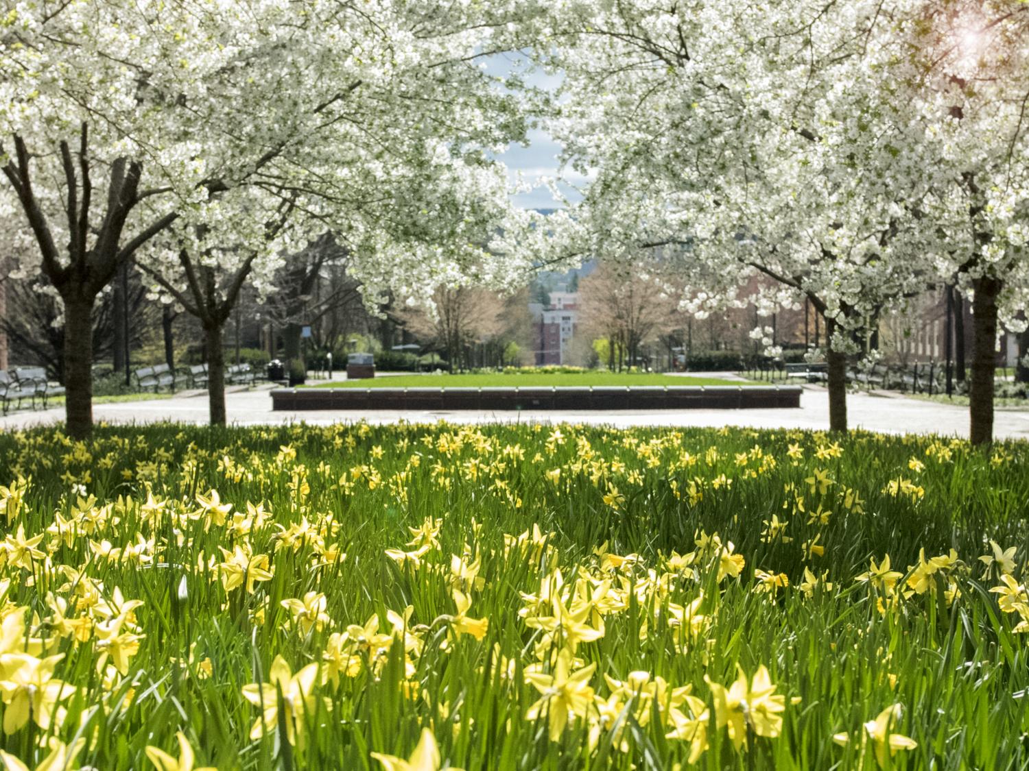 Life sciences quad
