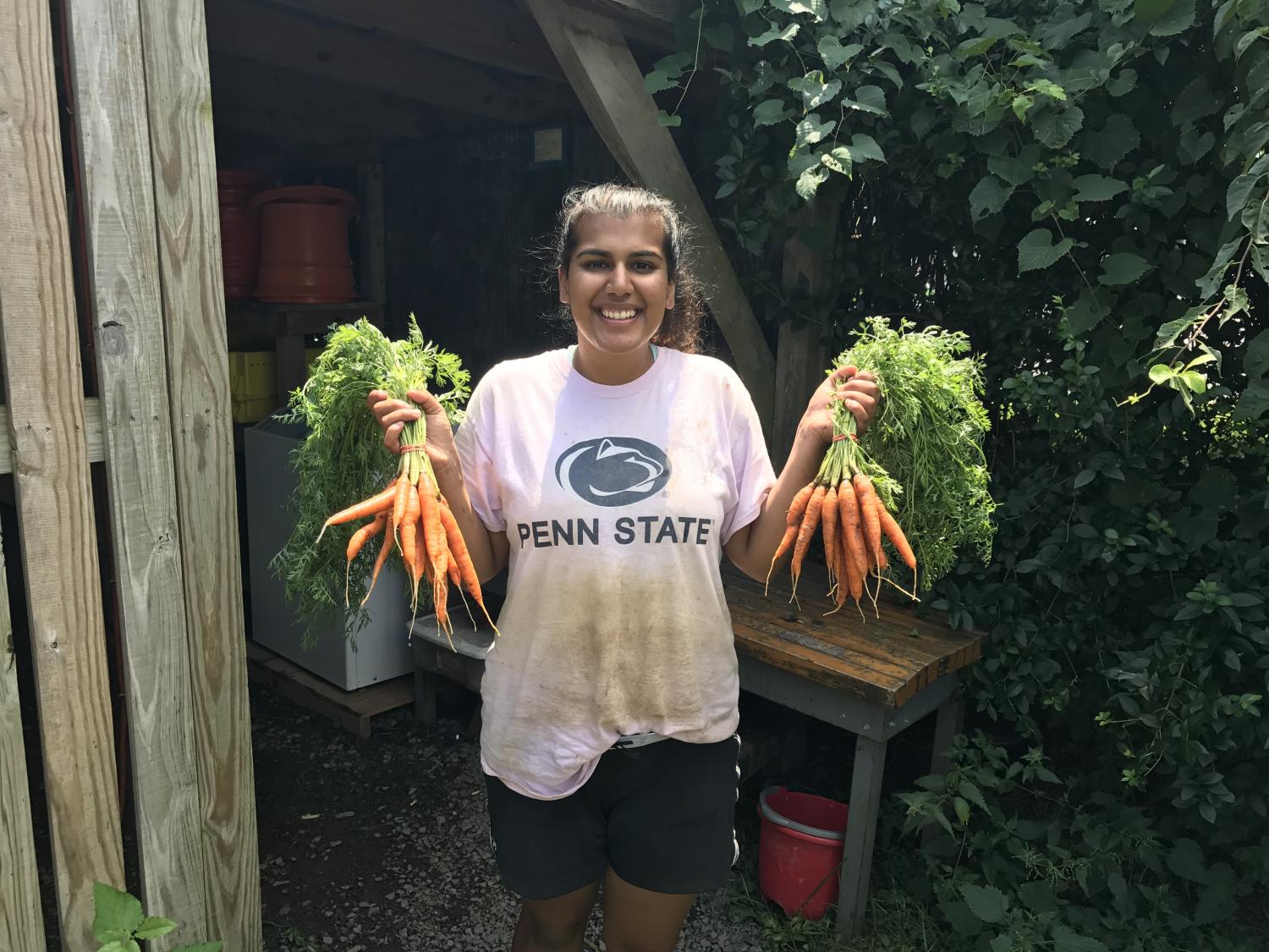 Student volunteer holding up carrots