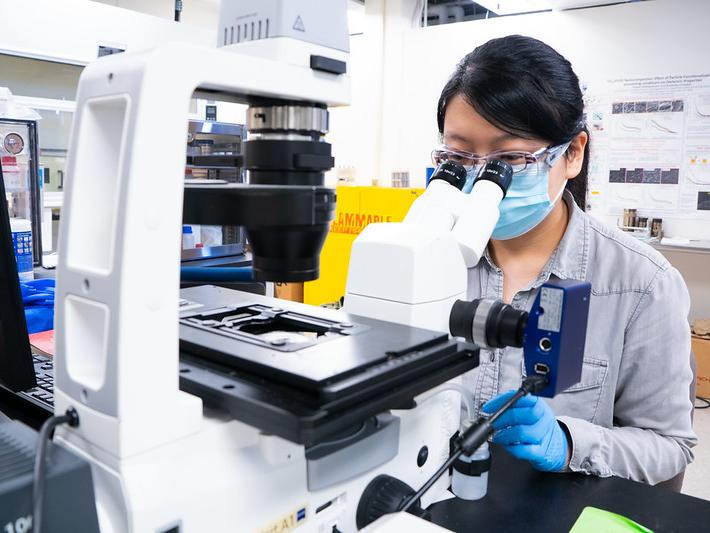 A graduate student wearing a mask looks through a microscope.