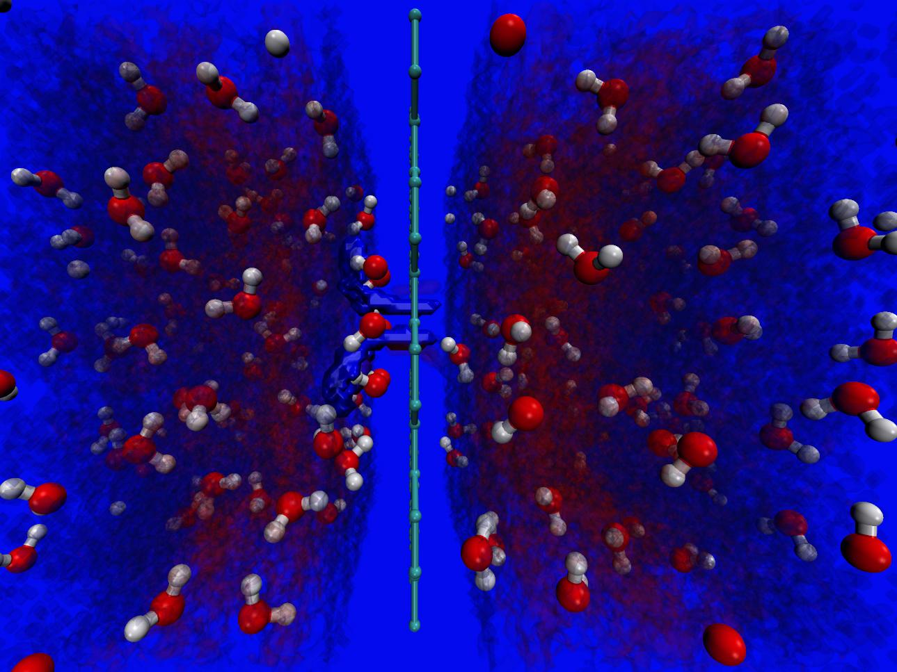 proton transfer channel