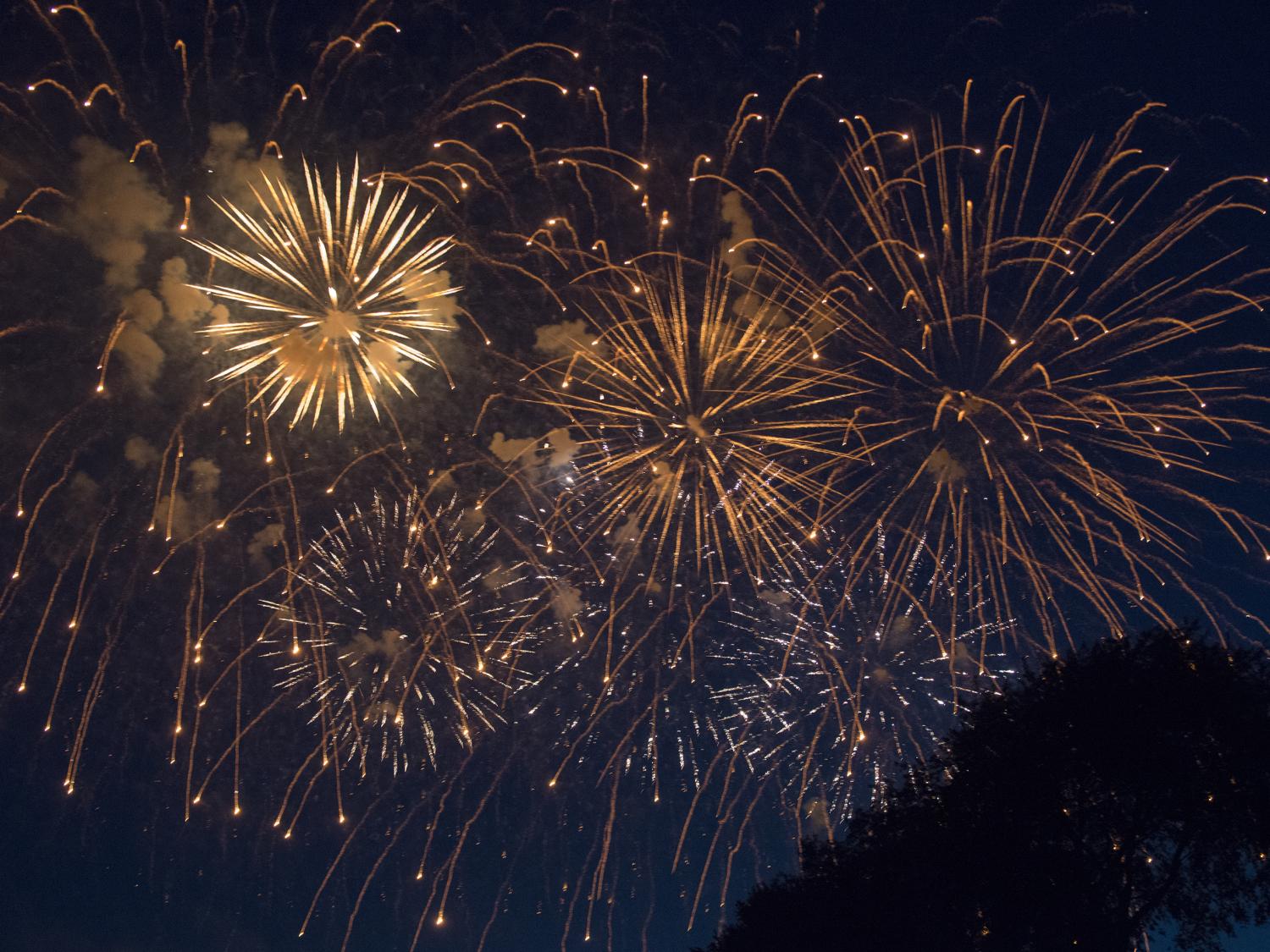 4thFest-2014-Fireworks-101