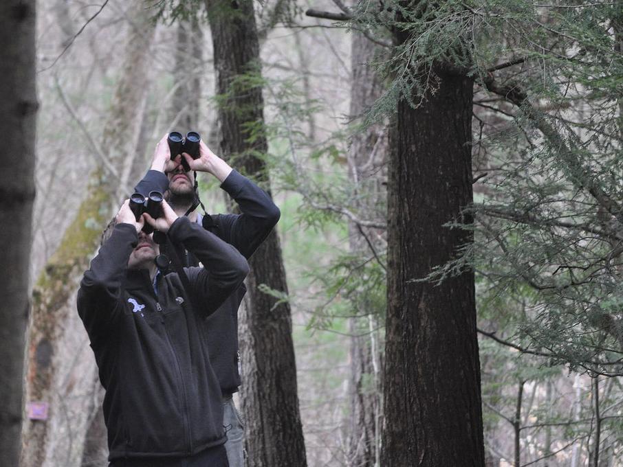 Competitors use binoculars in the 2012 Shaver's Creek Birding Cup