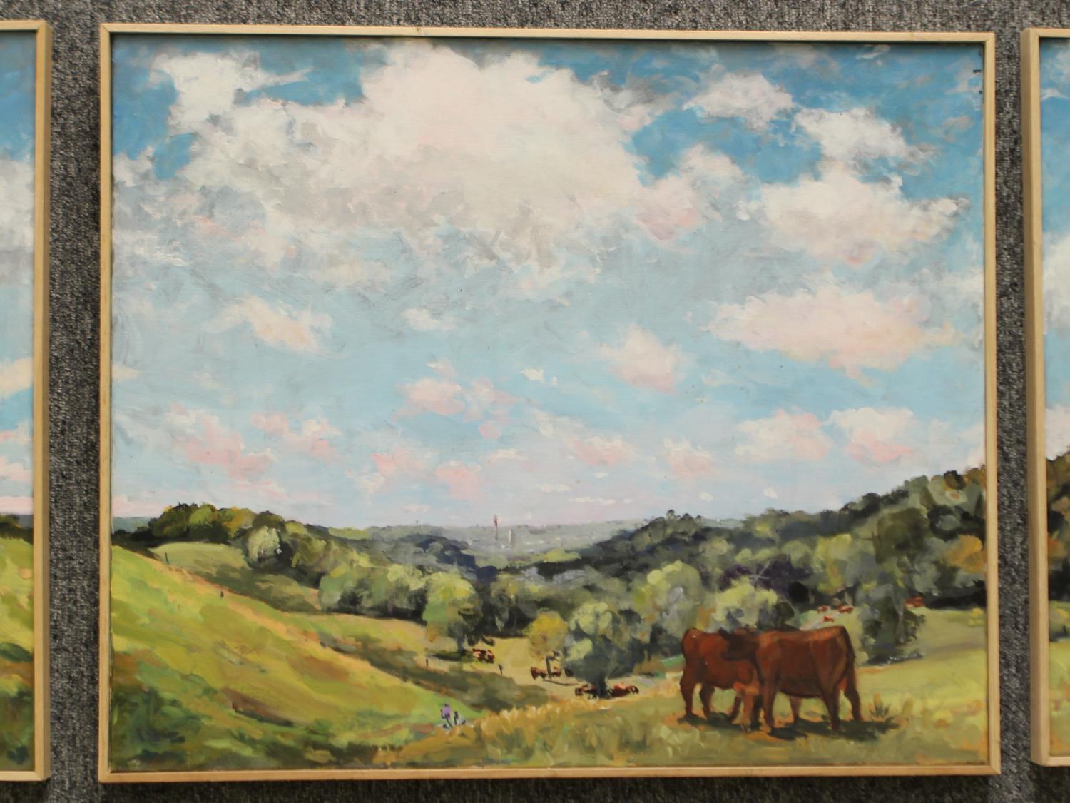 Landscapes